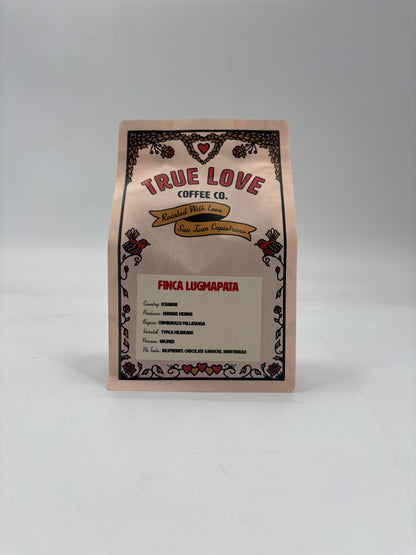 Ecuador Finca Lugmapata