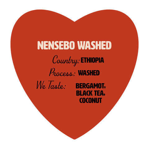 Nensebo Washed