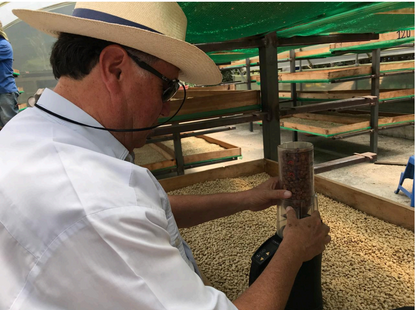 Ecuador Finca Lugmapata